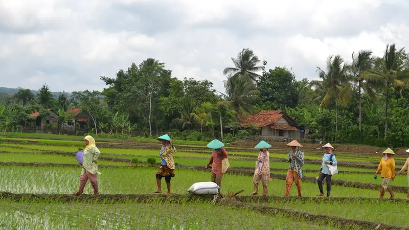 Aktivitas di Desa Borengan 2